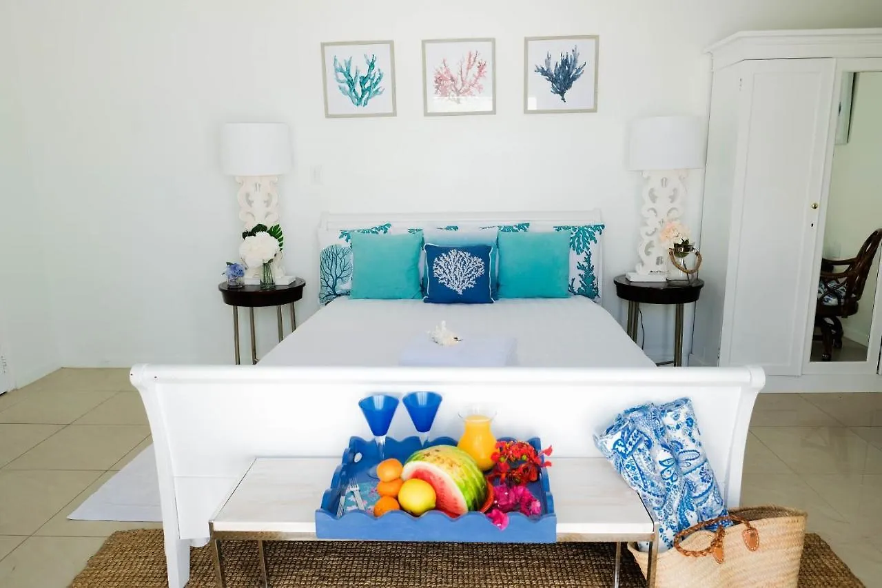 Apartman Ocean Front Property - Villa 5 Aruba Stunning Savaneta