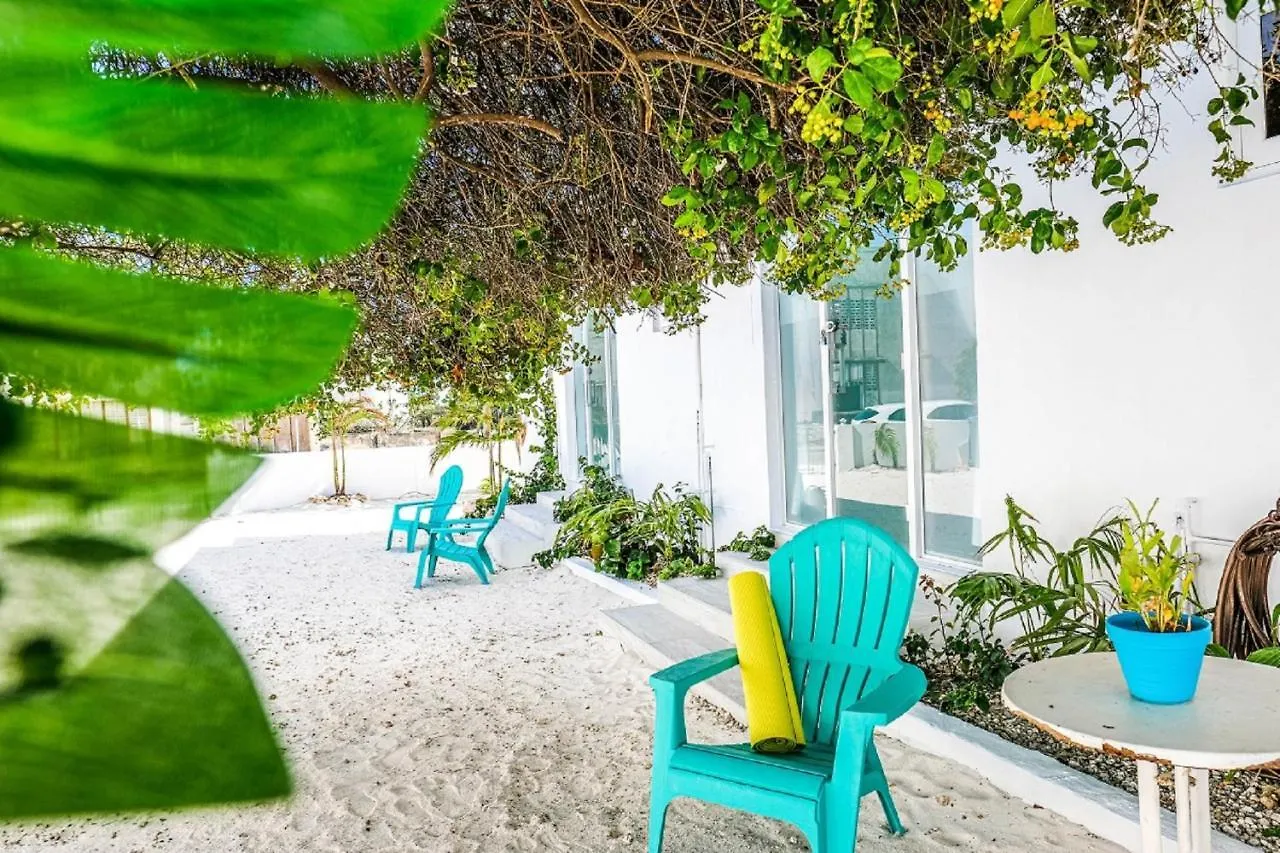 Ocean Front Property - Villa 5 Aruba Stunning Savaneta
