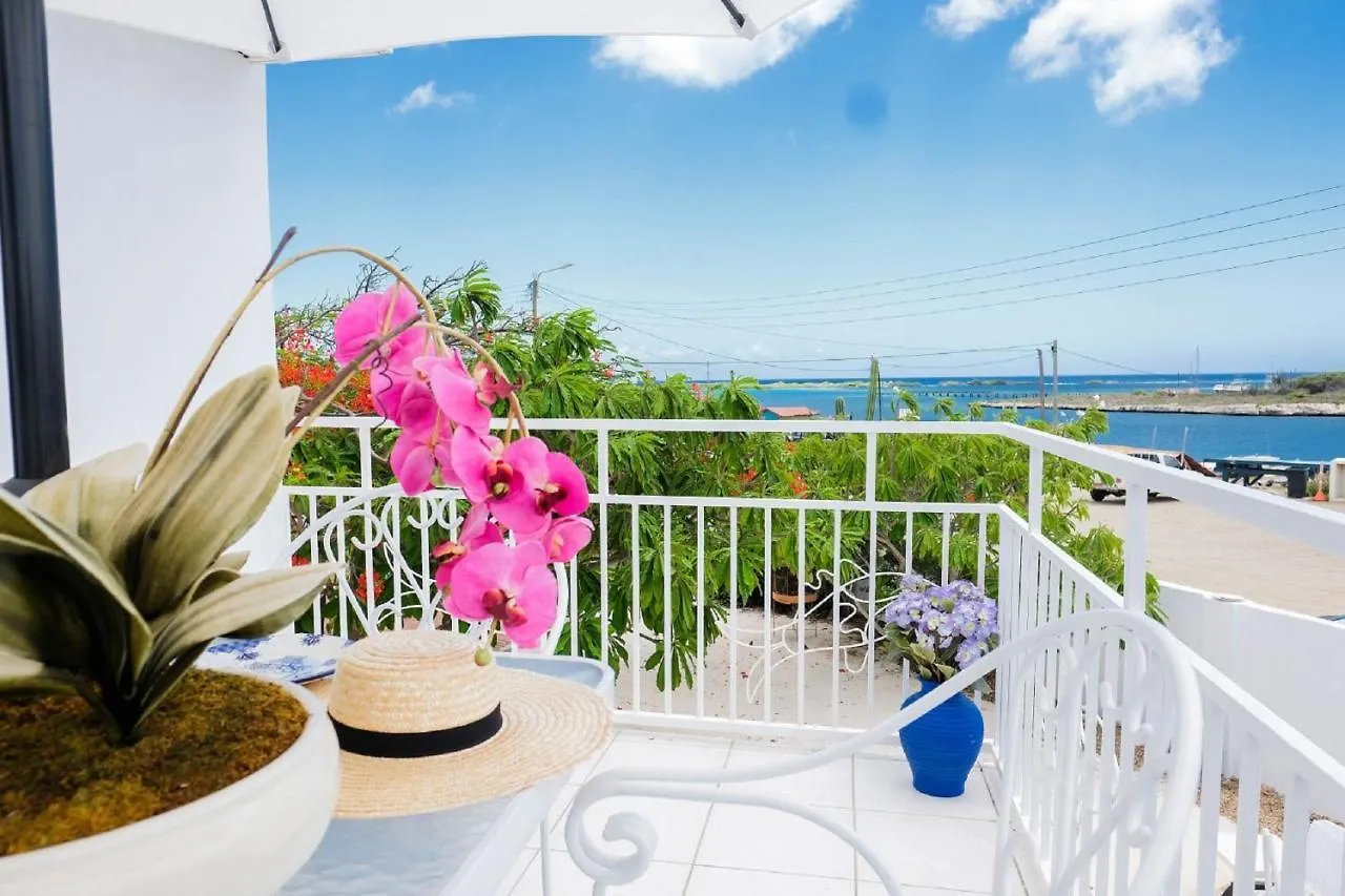 Ocean Front Property - Villa 5 Aruba Stunning Savaneta 0*,